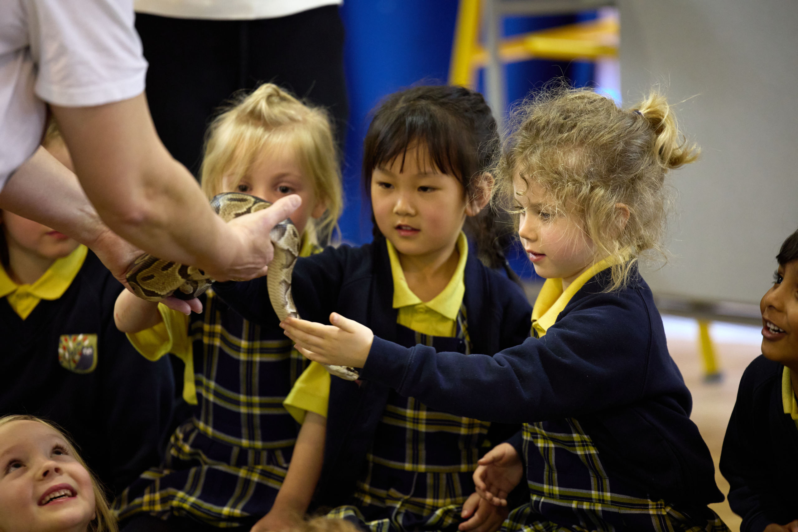 Creature Ark Visit Wakefield Grammar Pre Preparatory School