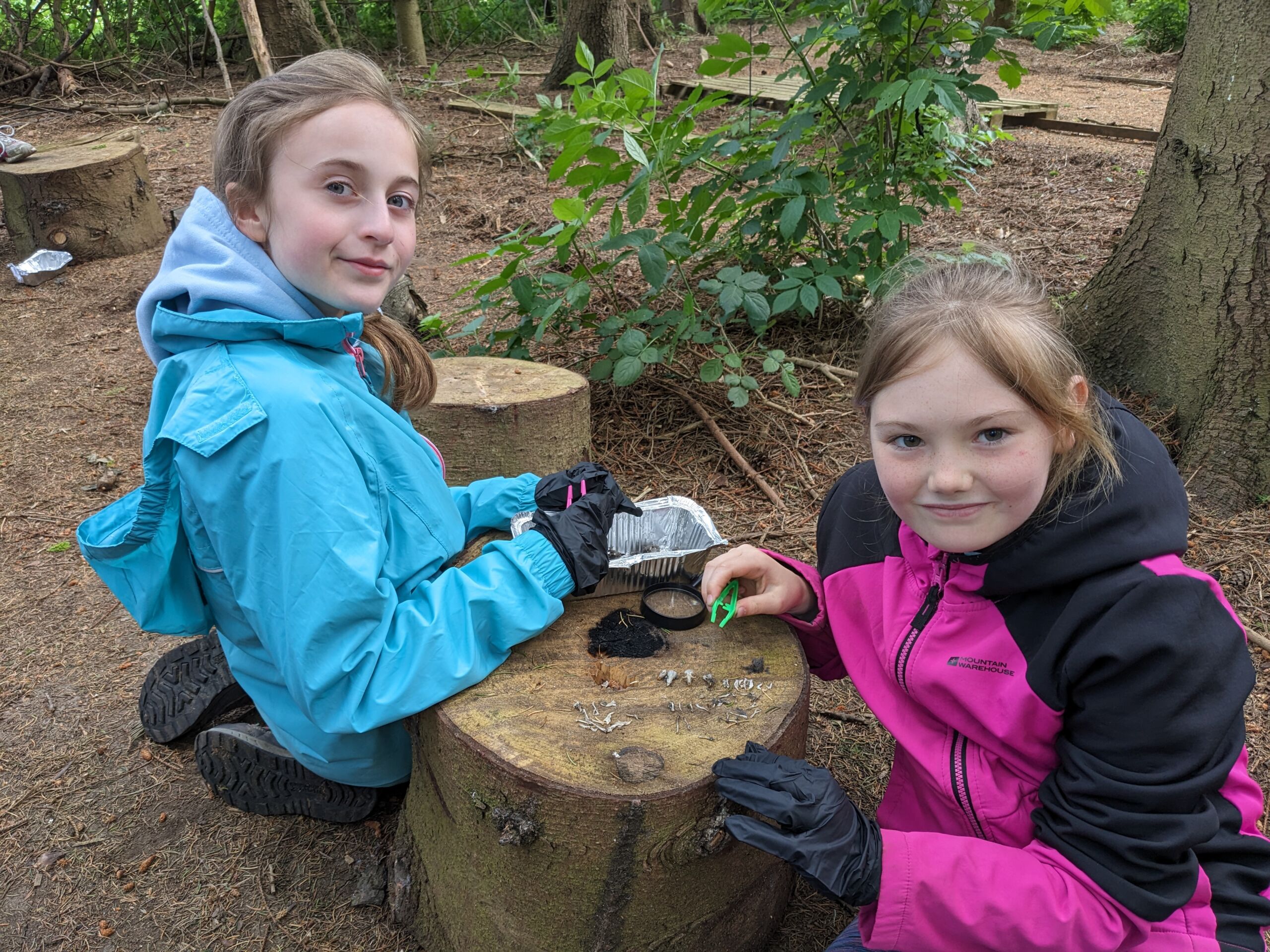 Eco-Committee Visit to Harewood Estate - Wakefield Girls High School